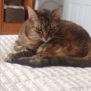 Meet your Posher, Alex